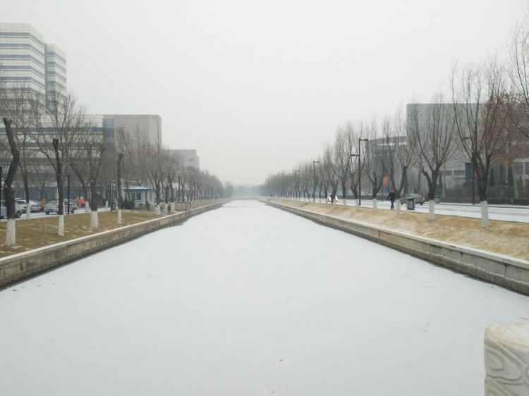 德州迎来降雪1.jpg
