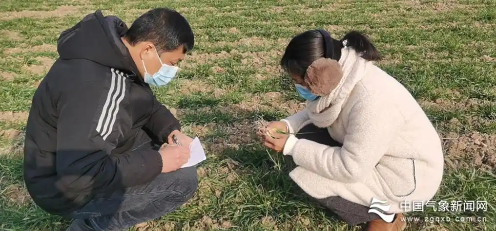 寒潮天气 农业生产 交通运输_上虞天气预报