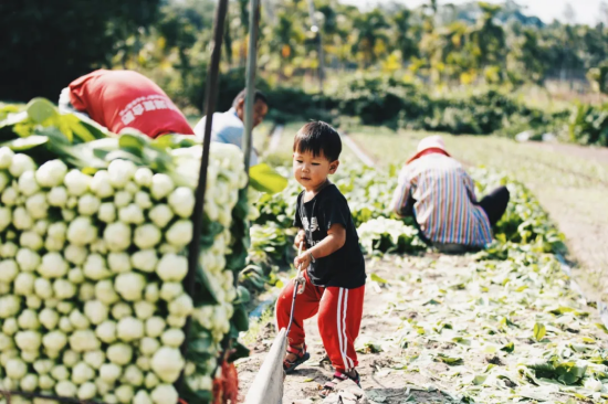 大茅村的她给余华写了一封信