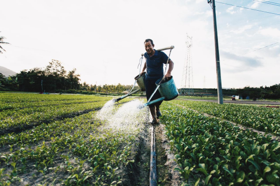 大茅村的她给余华写了一封信