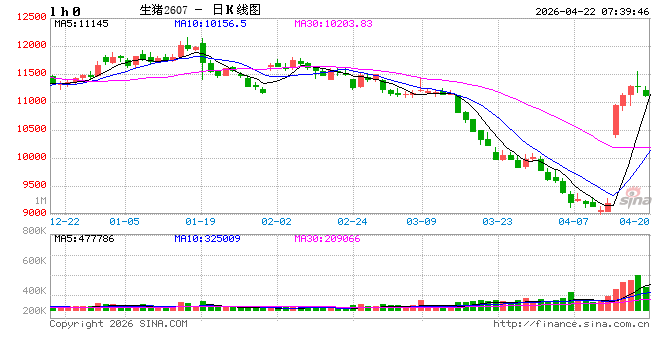生猪养殖业去产能提速 头部企业从“熬周期”到“练内功”
