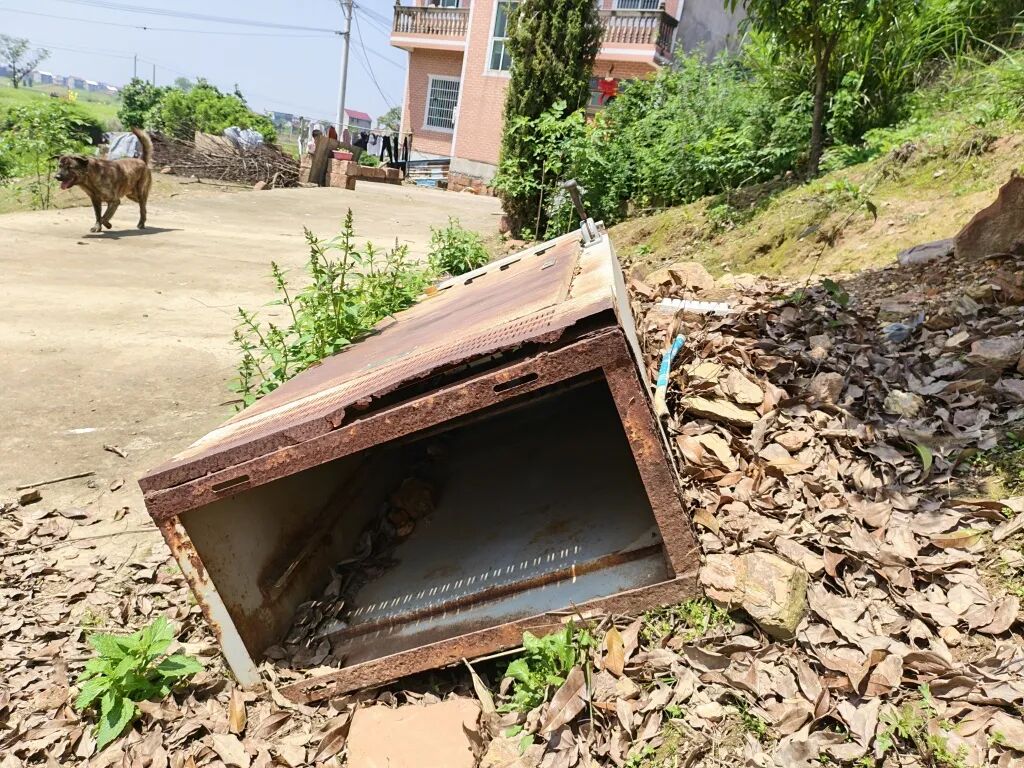 江西鄱阳28.5亿建的高标准农田成摆设？“已排查出446个问题”
